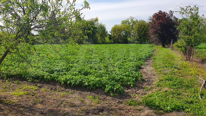 Дом 57 м² на участке 40 сот.