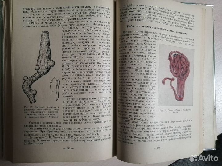 Ляйман Э.М. Курс болезней рыб -Высш. шк, 1966