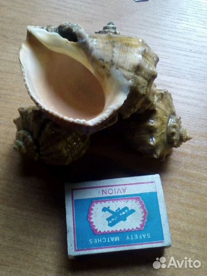 Пепельница из СССР