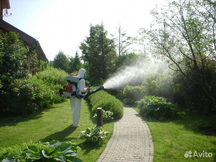 Обработка участков от клещей, комаров, короеда