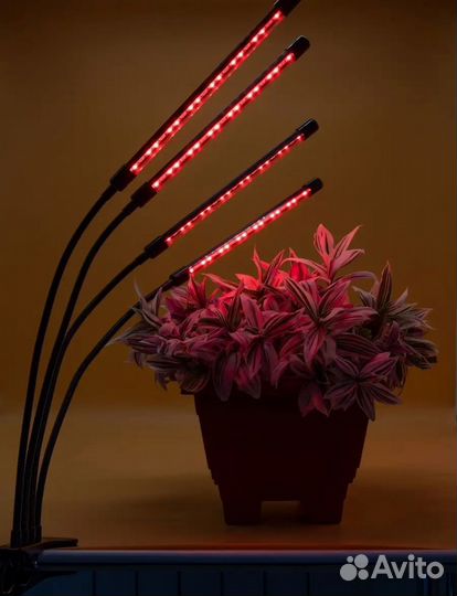 Фито лампа для растений