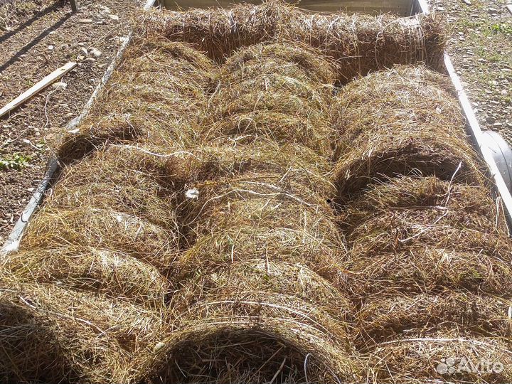 Сено в маленьких рулонах