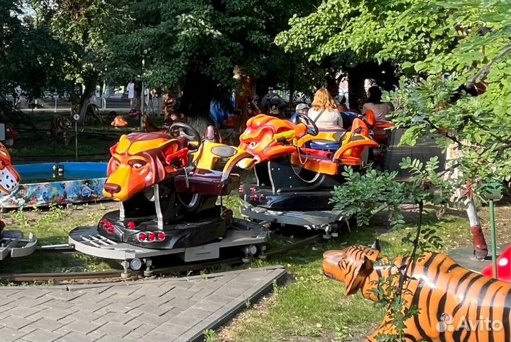 Сафари (новый дизайн) семейный аттракцион