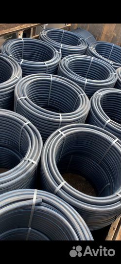 Перевозка сельхоз животных