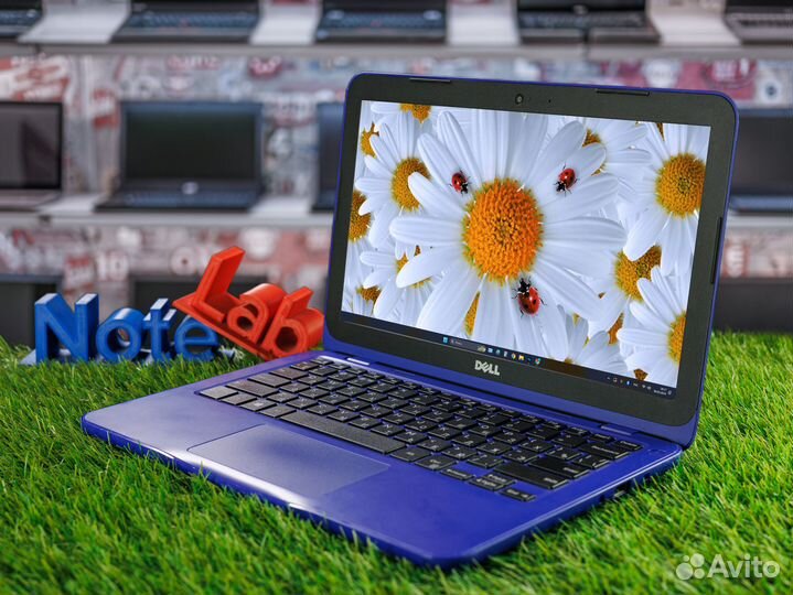 Ультрабук Dell для работы