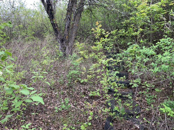 Участок 12,9 сот. (СНТ, ДНП)