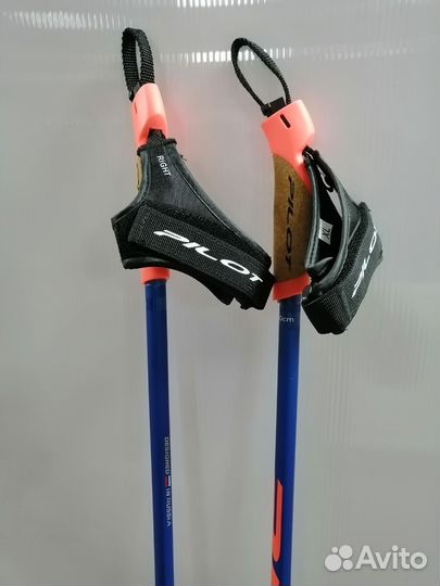 Лыжные палки Pilot HM topspeed