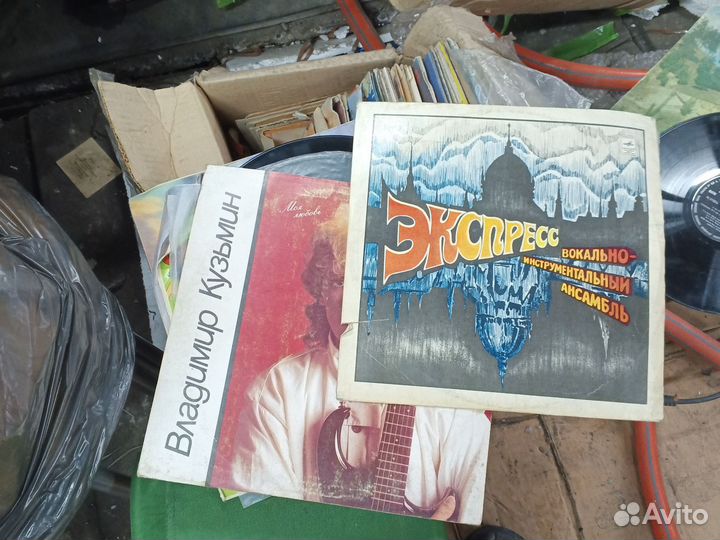 Виниловые пластинки