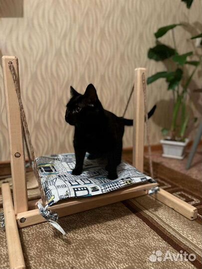 Эко качели кошек И хвостатых животных