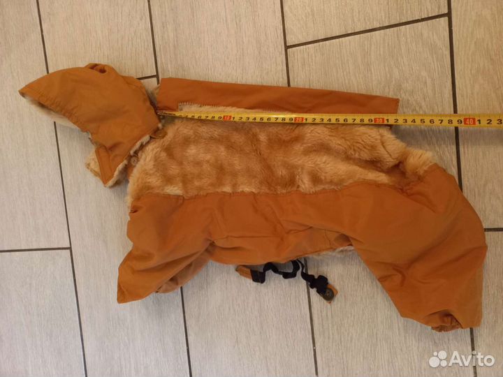 Костюм для собаки