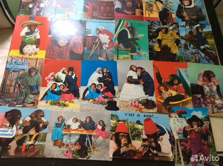 Открытки Обезьяны, собаки, дети