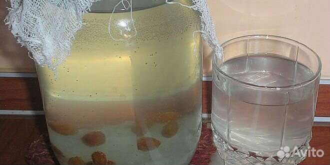 Индийский морской рис