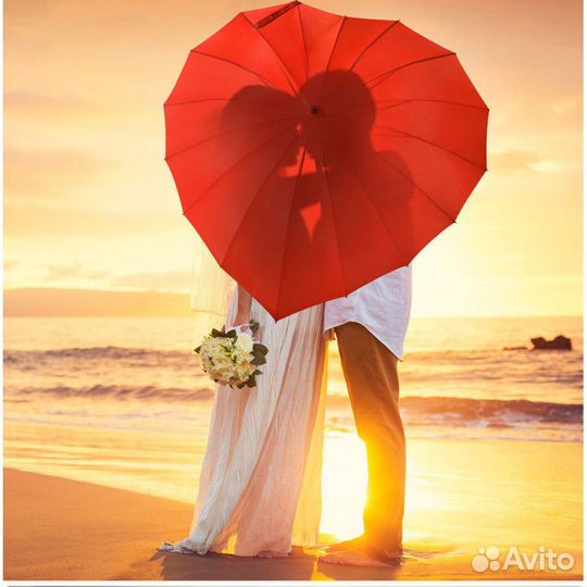 Зонт прокат