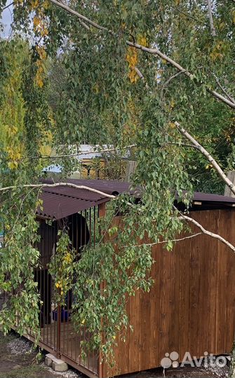 Вольер для собак