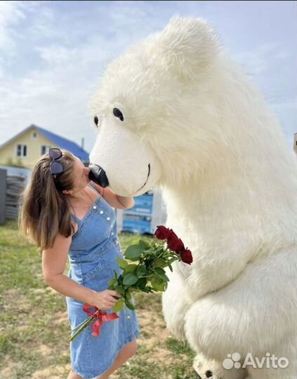 Белый мишка аниматор