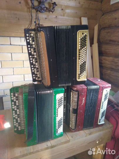 3 Баяна