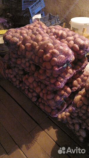 Свежий картофель с доставкой на дом