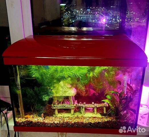 Аквариум красивый 65 л с таймером