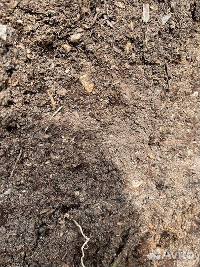 Перегной норки