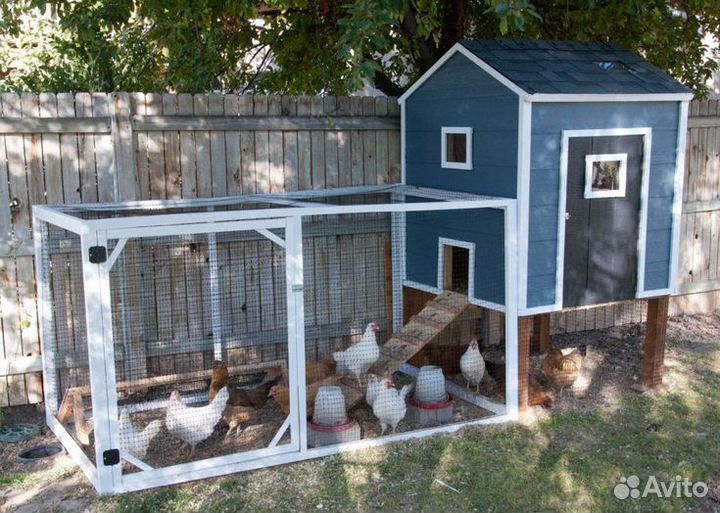 Курятники голубятники