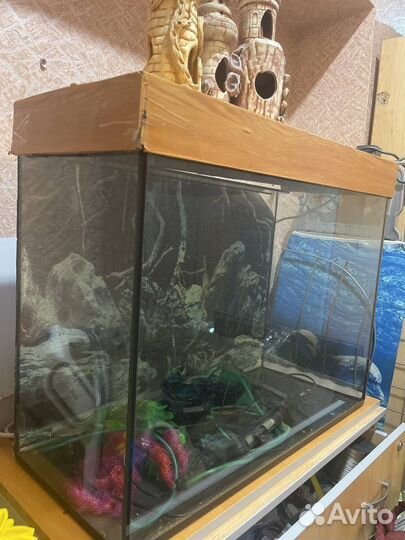 Аквариум