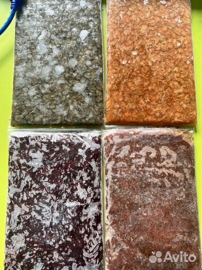 Замороженный корм для рыб