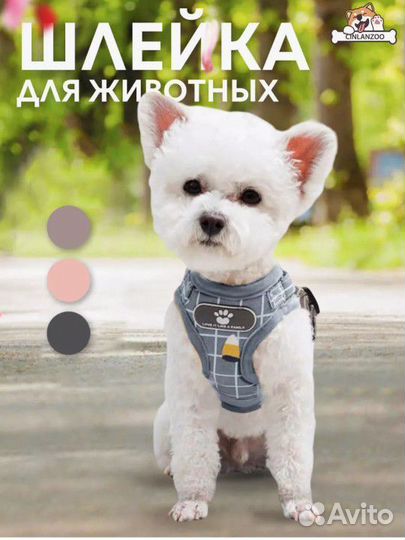 Шлейка для маленькой собаки размер м