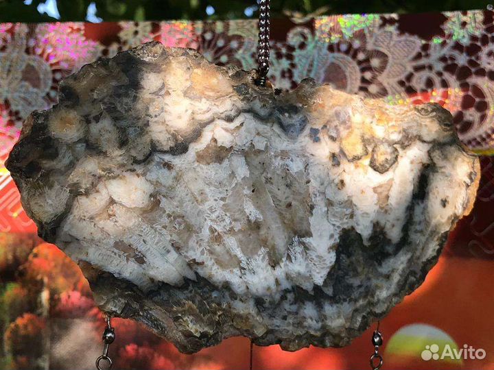 Мобиль из окаменелых обитателей морского дна