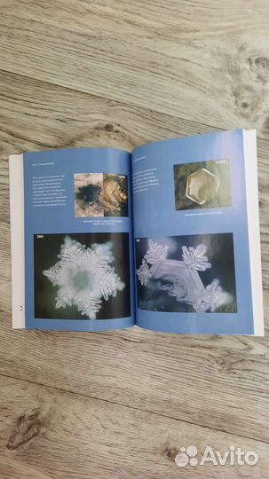 Масару Эмото