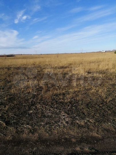 Участок 8 сот. (ИЖС)