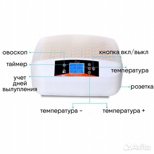 Инкубатор для 56 яиц с овоскопом