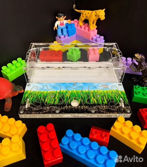 Муравьиная ферма Midi. Формикарий муравьиный