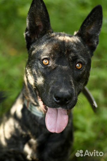 Ким ждет семью