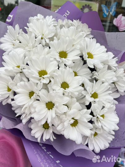 Букет ромашек