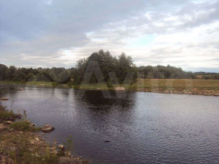 Участок 2,15 га (ИЖС)