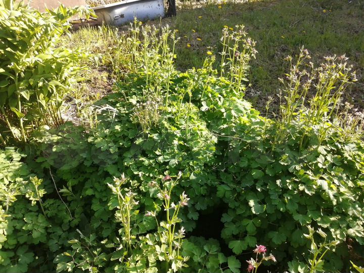 Дом 130 м² на участке 9 сот.