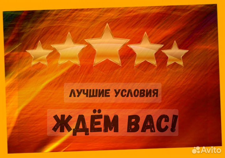 Наборщик заказов Без опыта Еженедельные выплаты