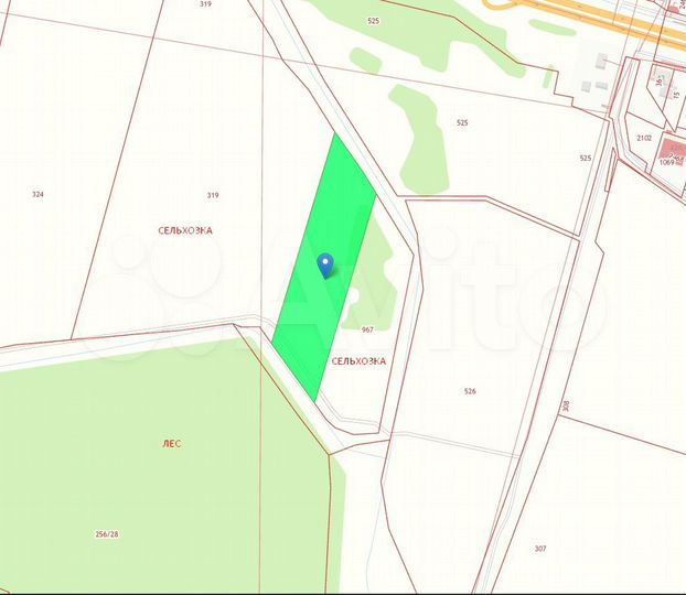 Участок 1,21 га (СНТ, ДНП)