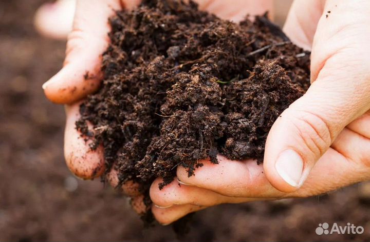Торф для обогащения земли и чернозема