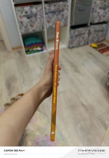 Тося Бося и украденное время