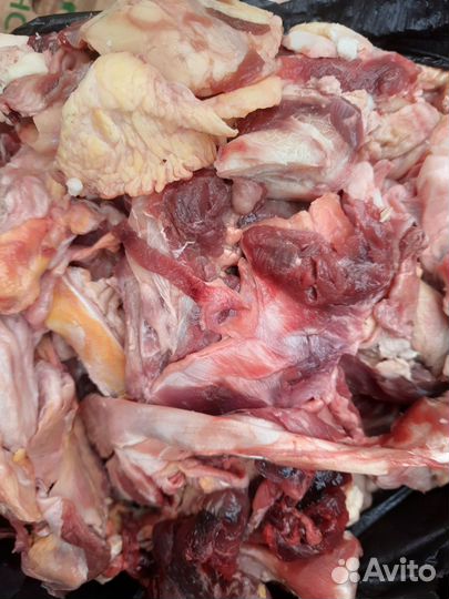 Мясо для собак