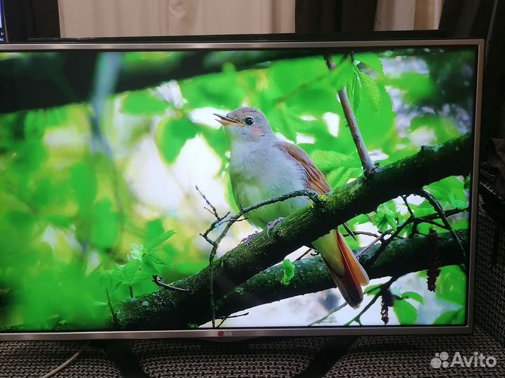 Телевизор SMART tv 42ln613v