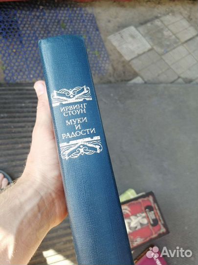 Ирвинг стоун муки и радости 1991
