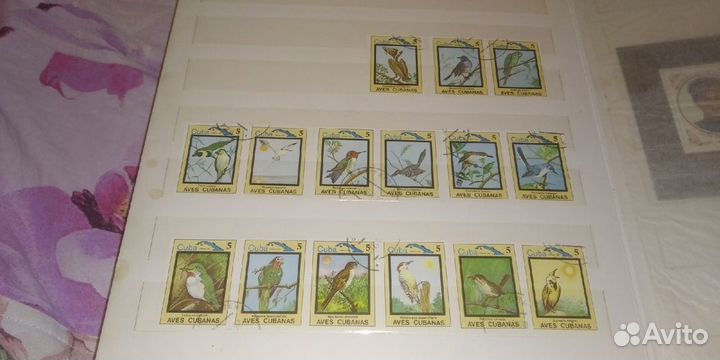 Почтовые марки