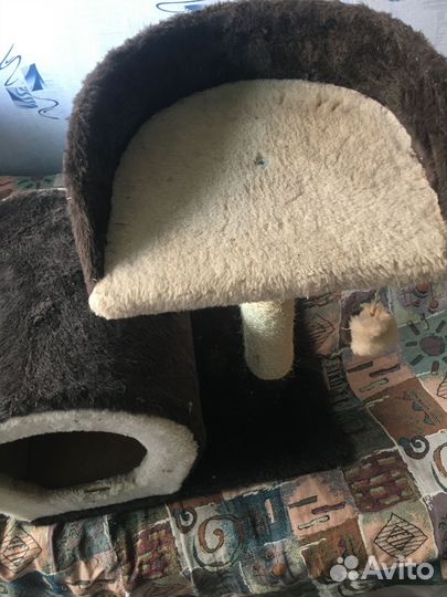 Домик для кошки с когтеточкой