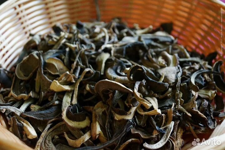 Сушеные грибы подберезовики и белые