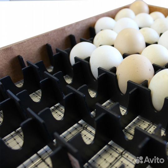 Перегородки для куриных яиц (Инкубатор Блиц-72)