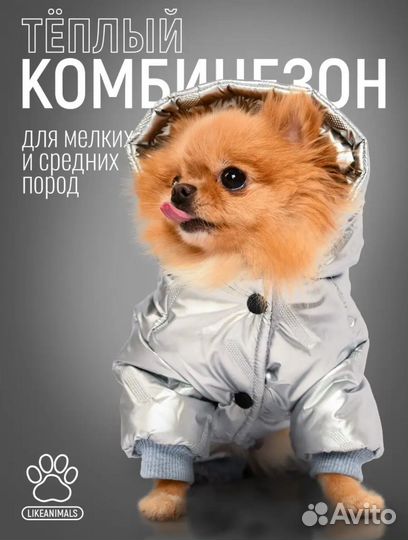 Зимний комбинезон для собаки