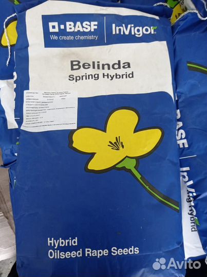 Семена гибридов рапса Видер кл, Билдер