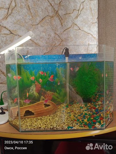 Аквариум